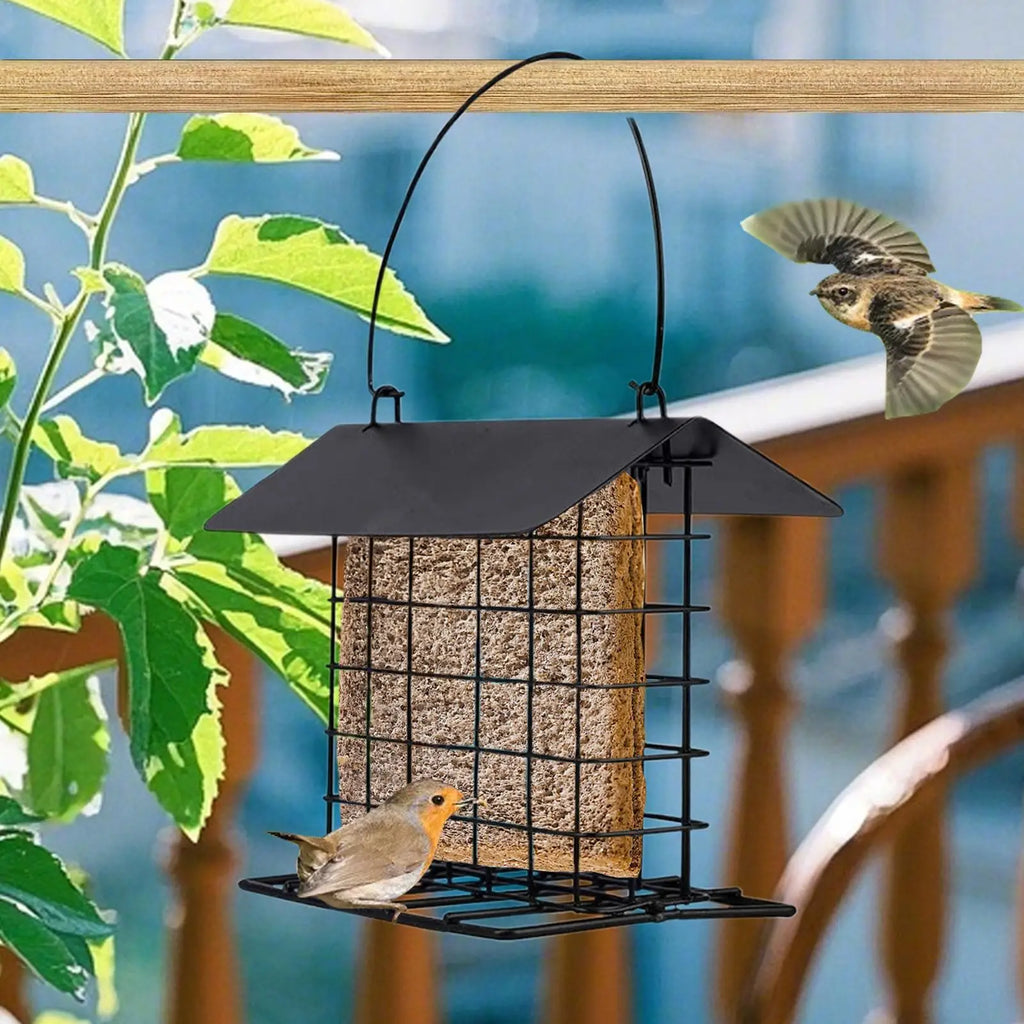 Hanging bird feeder Suet Cakes Cage Bird Feeder washable and reusable feeder wild bird feeder squirrel-proof and weatherproof Oasis Select