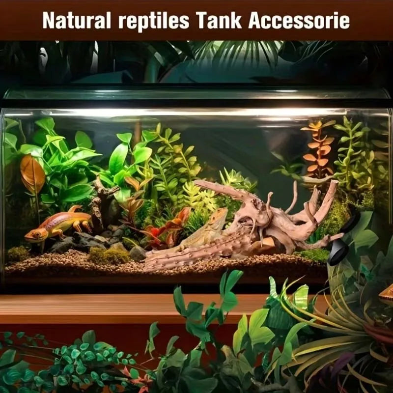 Set of 4 Natural Wood Roots – Aquarium Decor & Fish Tank Ornaments