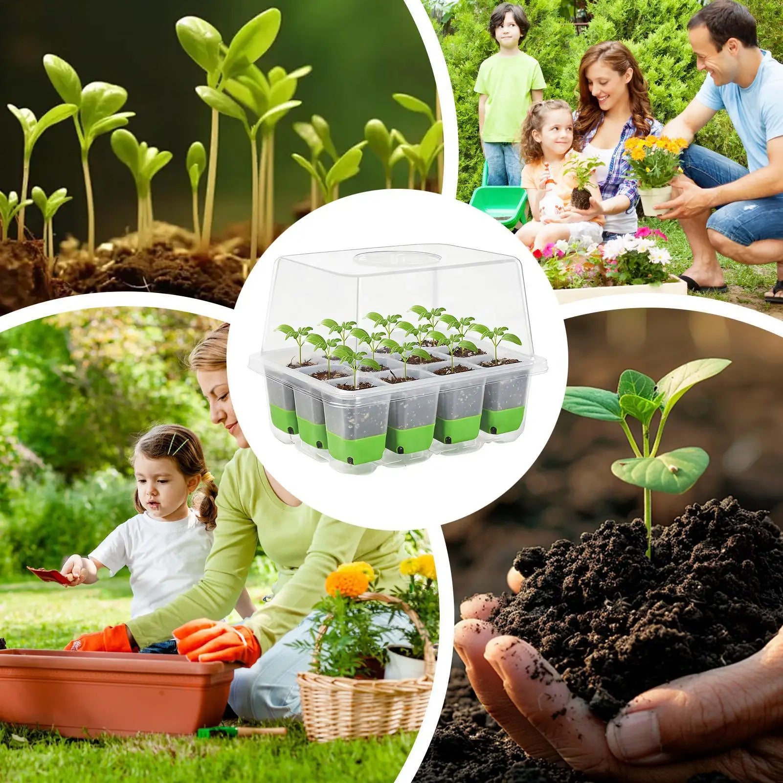pots 12-cell Seedling Starter Tray Indoor Garden Greenhouse Growth Potting with Cover Adjustable Humidity Germination Box Oasis Select
