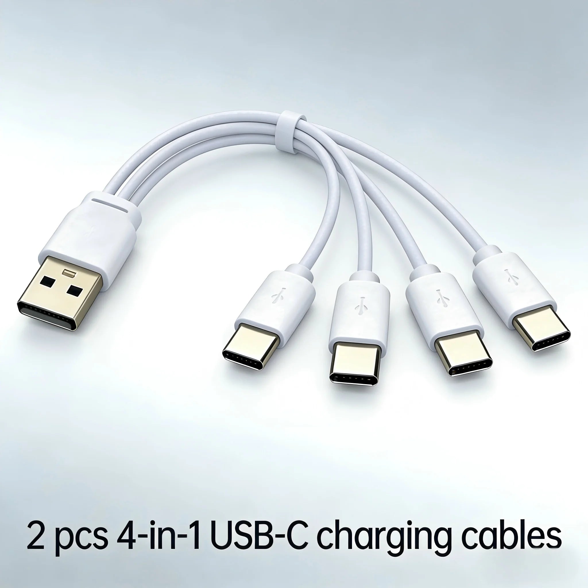 4-in-1 USB-C Charging Cable For Battery And other device Oasis Select 2 PCS Cables