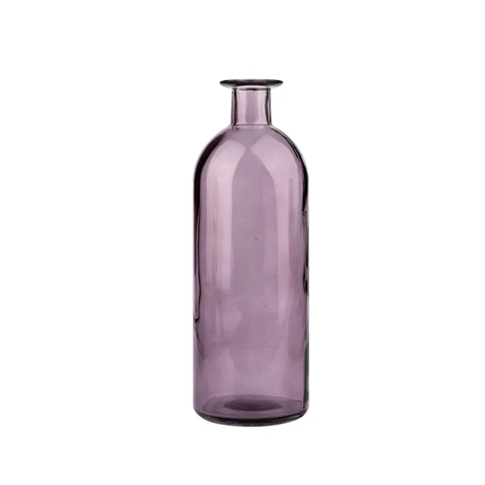 Transparent Glass Flower Vase | Modern Hydroponic Table Decor Glass Flower Vase Oasis Select Purple-M