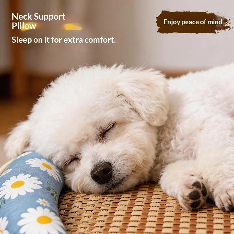 Summer cooling mat dog bed cat bed summer dog house pet supplies for Teddy and small dogs all‑season universal mattress Oasis Select