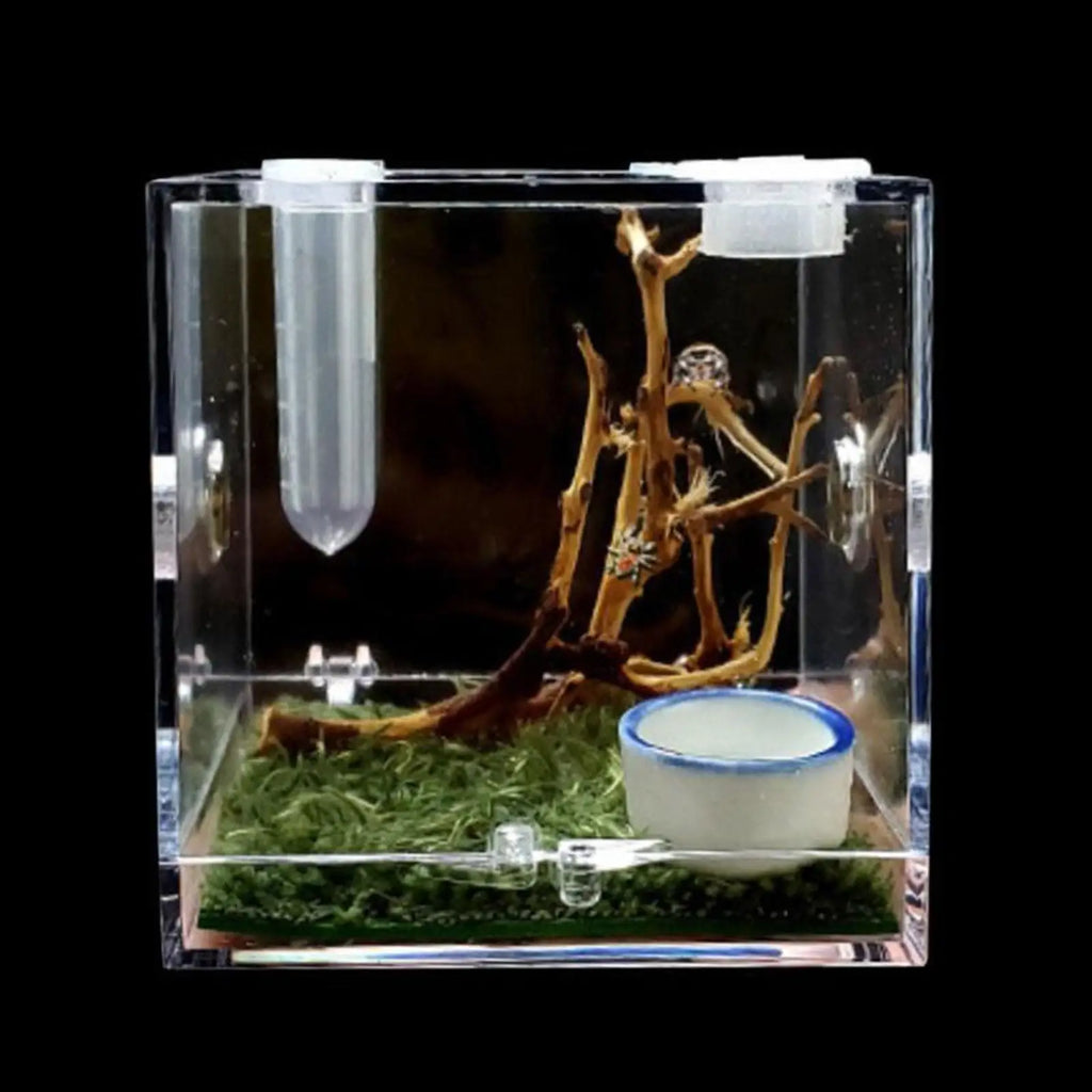 Small Reptile Feeding Box Transparent Acrylic Jumping Spider Breeding Box Habitat Small Insect Container Humidifier Feeding Box Oasis Select