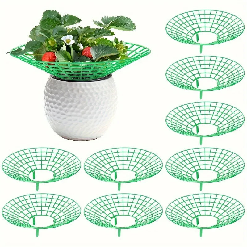 6/12pcs Green PVC Strawberry Support Cage for Vegetable Garden - 3-Legged Plant Protector, and Rot, Easy Assembly Oasis Select 12pcs