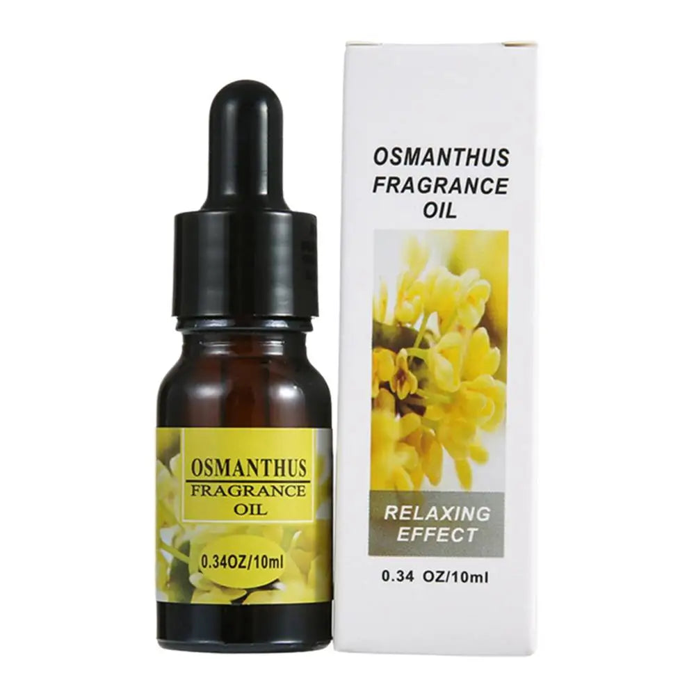 10ml Car Perfume Refill Liquid Flavor Essential Oil with Dropper Car Air Freshener For Air Humidifier Home Auto Fragrance Oasis Select F