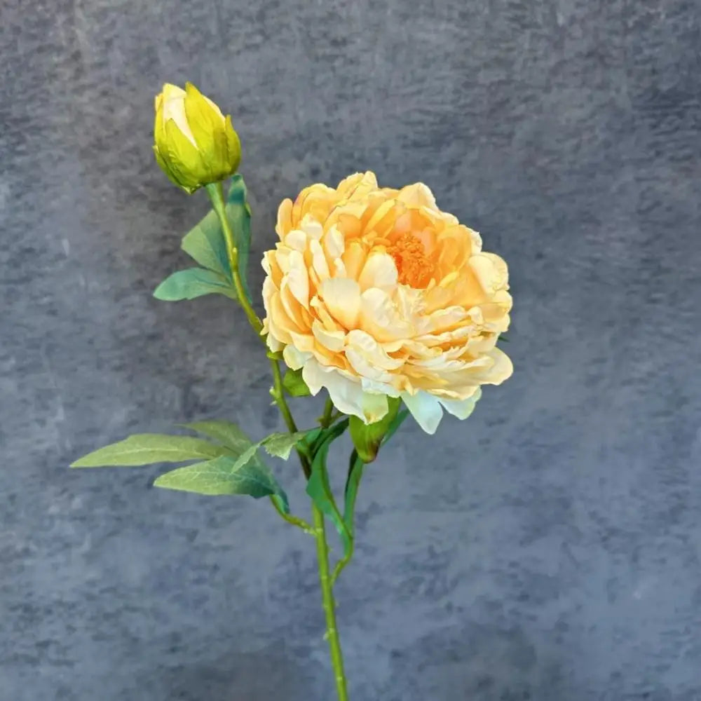 Peony Simulation Flowers, Home And Living Room Artificial Flower Decorations, Dining Table Dried Flower Bouquet Decoration Oasis Select Champagne1