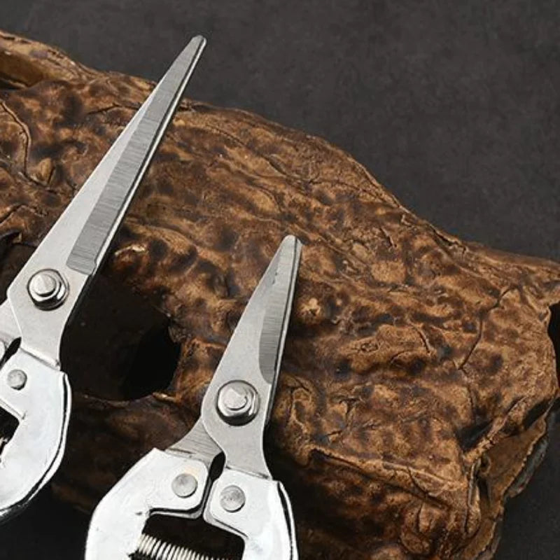 Stainless Steel Pruning Shears | Sharp Blades, Non-Slip Handle
