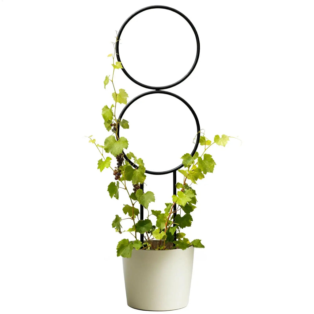 Trellis for Potted Plants Metal Adjustable Support Stake Metal Plant Trellis for Indoor Outdoor Home Wedding Gardening Vegetable Oasis Select