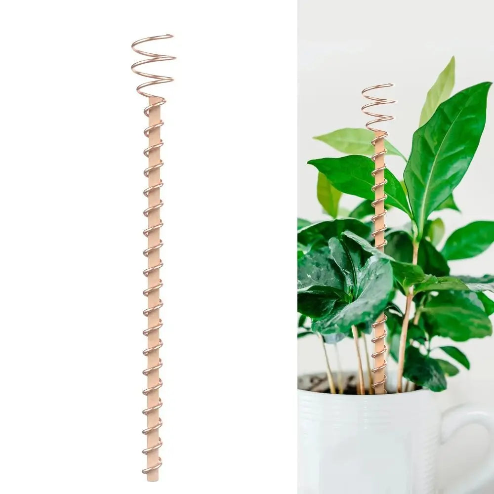 Bonsai Copper Electroculture Plant Stakes Wire Coil Wood Rod Gardening Copper Coil Antennas Plant Support Frame Garden Oasis Select