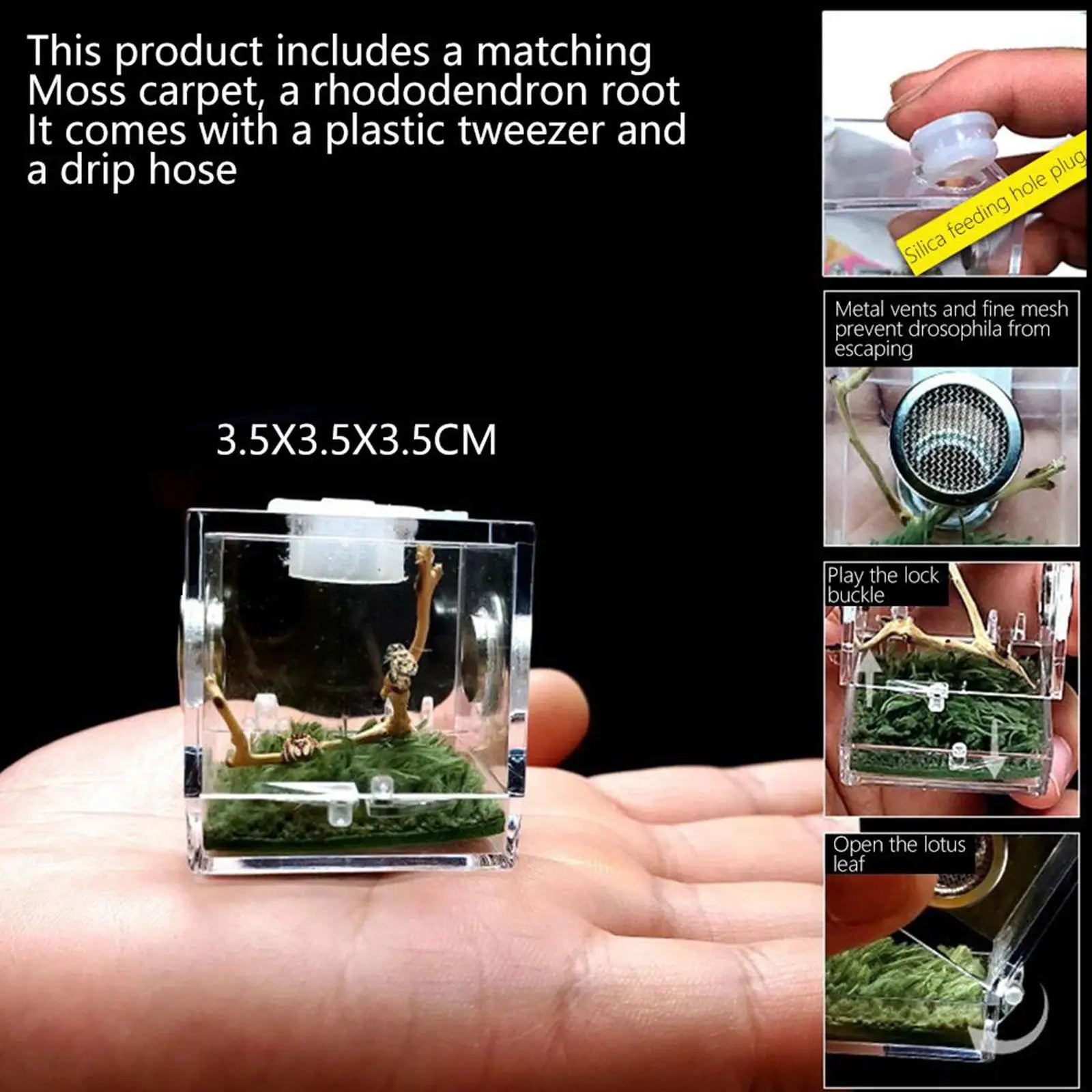Small Reptile Feeding Box Transparent Acrylic Jumping Spider Breeding Box Habitat Small Insect Container Humidifier Feeding Box Oasis Select