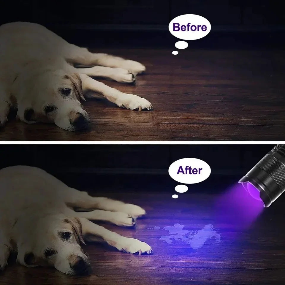ESMARTER UV Blacklight Flashlight 365/395nm – Zoomable Torch