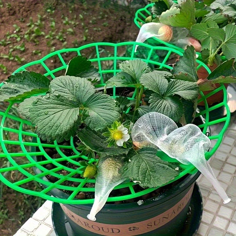 6/12pcs Green PVC Strawberry Support Cage for Vegetable Garden - 3-Legged Plant Protector, and Rot, Easy Assembly Oasis Select