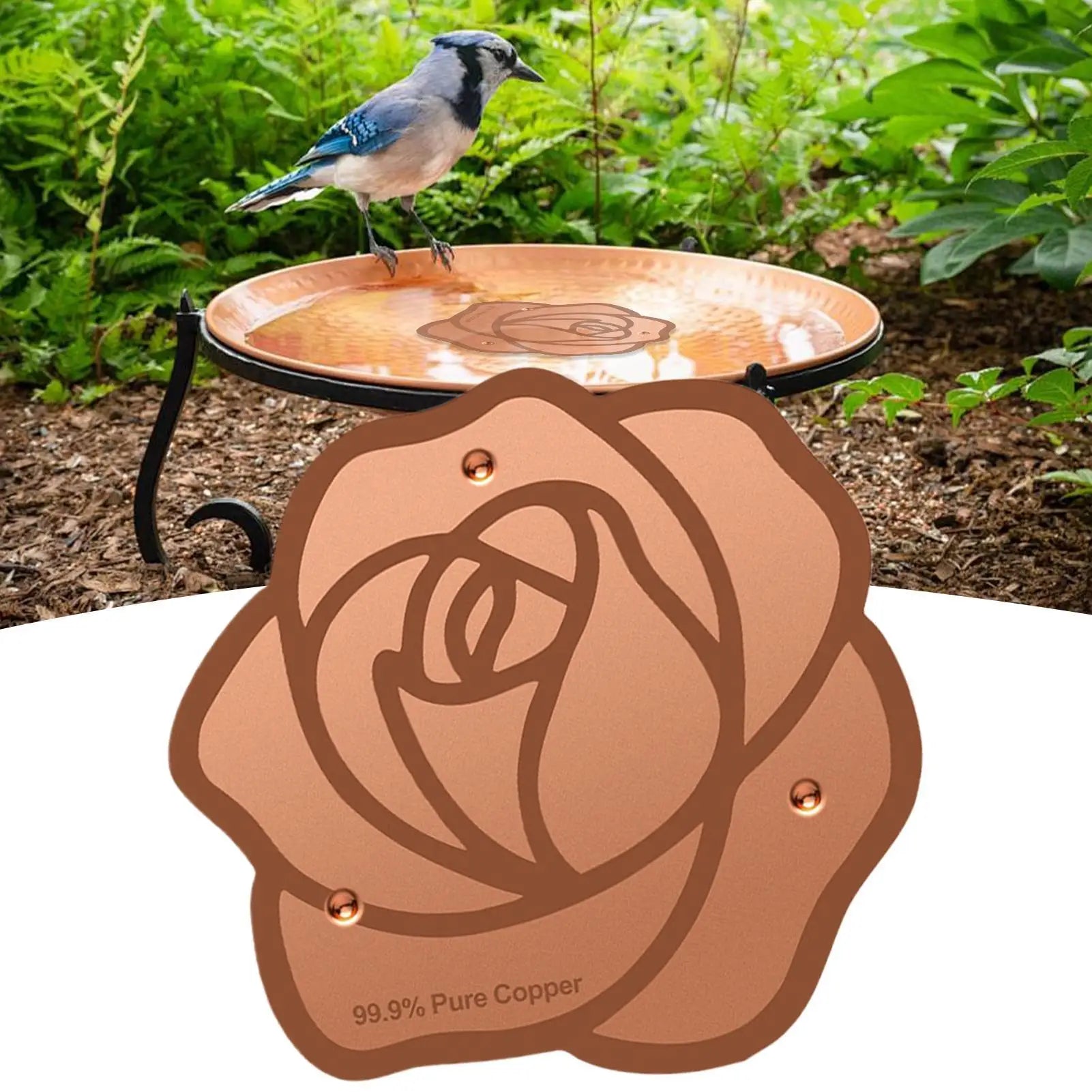 1PC Copper Bird Bath Purification Disk Garden Outdoor Feeder Tray Cleaner Bird Bath Water Fountain Fishpond Lawn Backyard Oasis Select