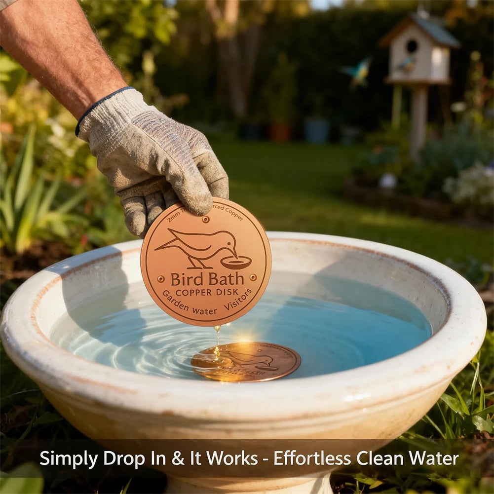 Solid Copper Water Purifier Disc for Bird Baths & Fountains
