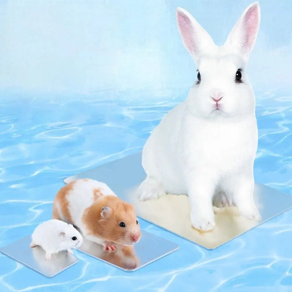 Aluminum Pet Cooling Plate Heat-dissipating Fast-cooling Rabbit Cooling Plate Non-electric Reusable Summer Cooling Mat Oasis Select