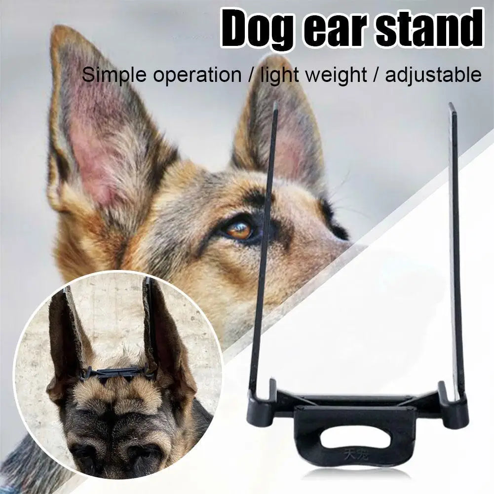 Doberman Ear Stand Support Tool – Adjustable Training Post