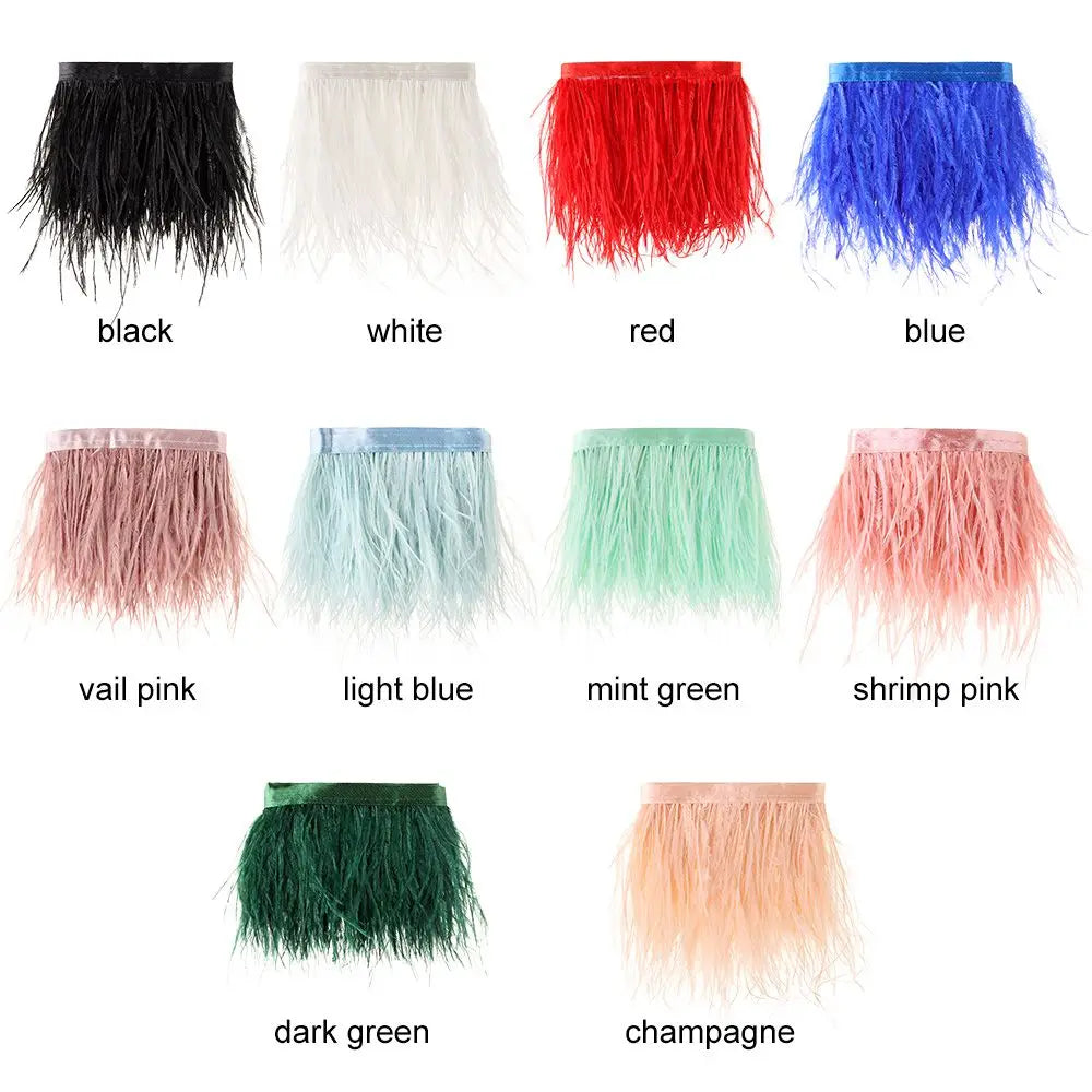 Fashion Ostrich Feathers Trim 1 Meter Long 8-10 CM Wide Plumes Ribbon Selvage DIY Dress Crafts Accessories Feathers Ribbon Oasis Select