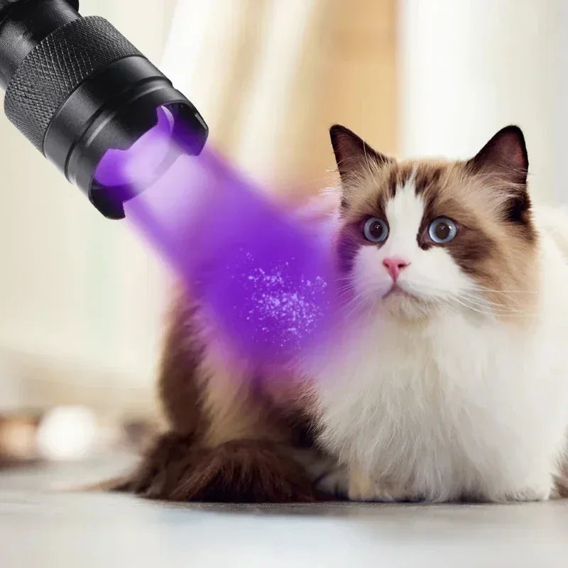 Wavelength Violet Flashlight UV LED Portable Flashlight 395nm Black Light Pet Urine Scorpion Feminine Hygiene Detector Torch Oasis Select SK68 UV 395