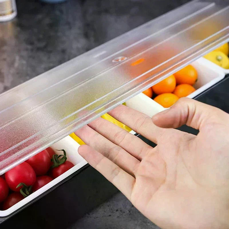 Fruit Box Condiment Container 4-6 Grids With Lid Large Capacity Bar Divided Fruits Bowl Household Seasonin Box Food Storage Oasis Select