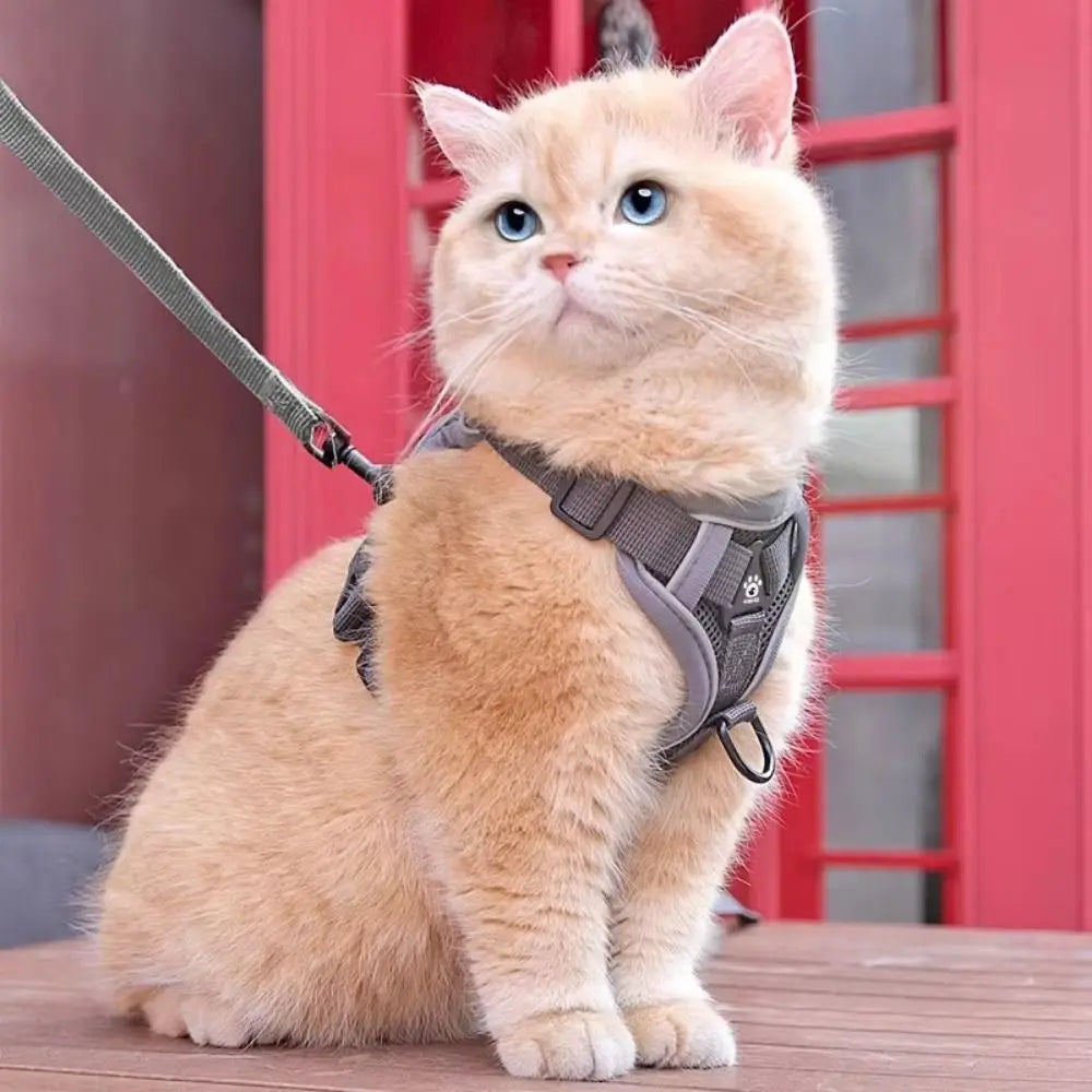 Reflective Vest Cat Harness & Leash Set – Escape Proof Cat Harness & Leash Oasis Select