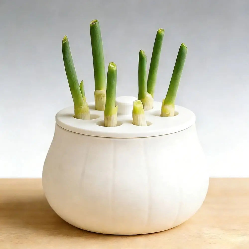 Vertical Hydroponic Green Onion Planter | 7-Hole Space-Saving Hydroponic Planter Oasis Select