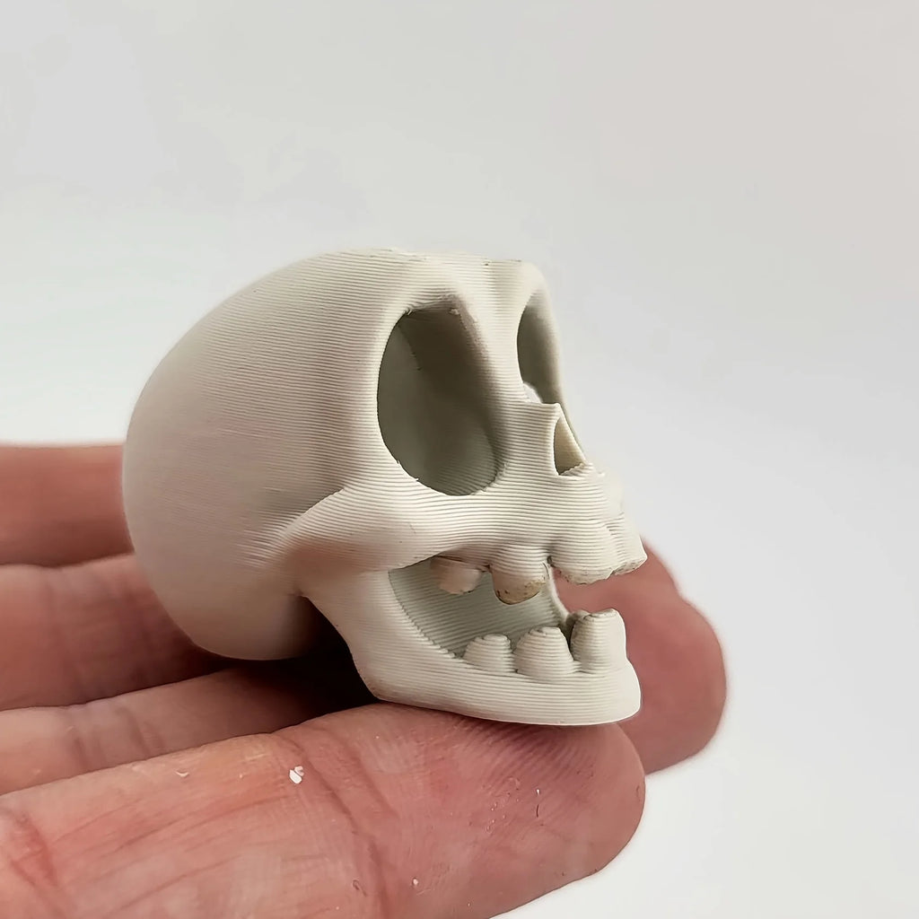 Mini Cartoon Skull Figurine Unpainted Cute Palm Skull Ornaments for DIY Painting Gothic Desk Ornaments Diorama Party Decor Gifts Oasis Select