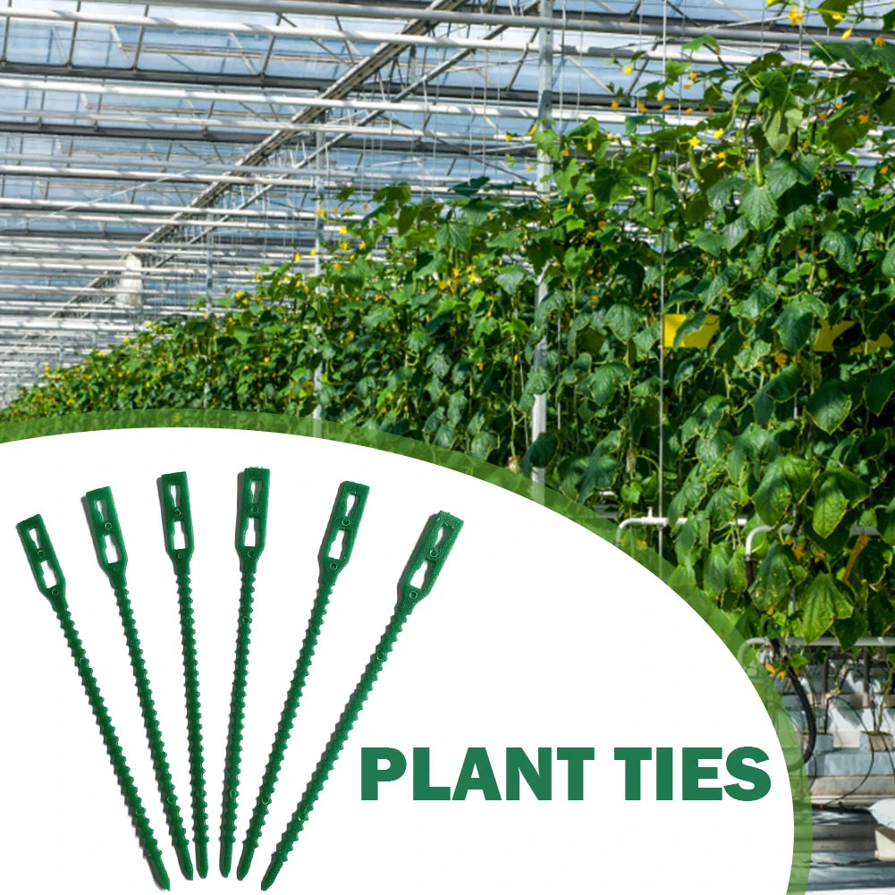 100-Pack Reusable Green Garden Plant Cable Ties – Adjustable Garden Plant Ties Oasis Select