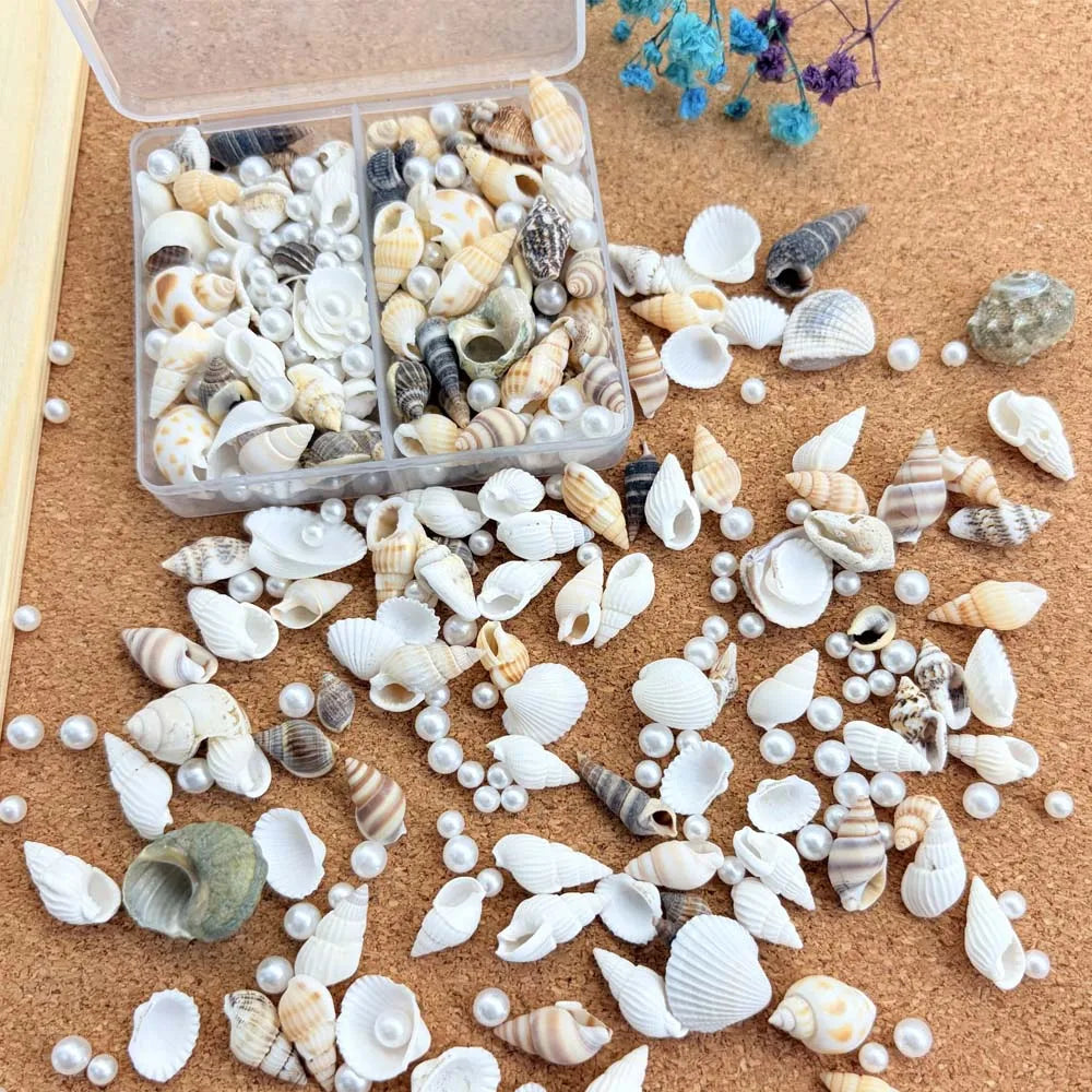 1 Box Mix Resin Simulation Pearls Shell For Home Decoration DIY Craft Photo Frame Friend Gifts Drift Bottle Aquarium Decorations Oasis Select