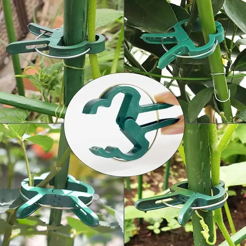 Plant Fixed Clips Reusable Garden Greenhouse Bracket for Fixed Plants Vine Flower Seedling Tomatoes Support Garden Supplies Oasis Select
