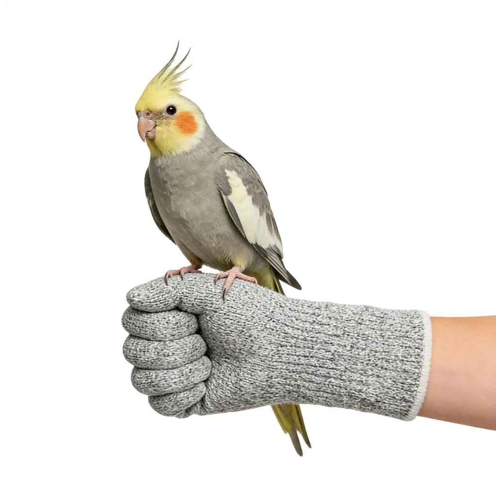 Cat Protection Gloves Scratch Resistant Bite Proof Multipurpose Guard Cat Gloves Bite Proof forGrooming Pet Parrot Bird Training Oasis Select
