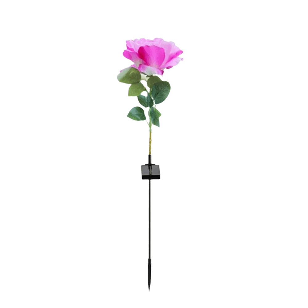 Solar Rose Garden Stake Light | 8 Modes, IP65, 80cm Tall