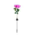 Solar Rose Garden Stake Light | 8 Modes, IP65, 80cm Tall