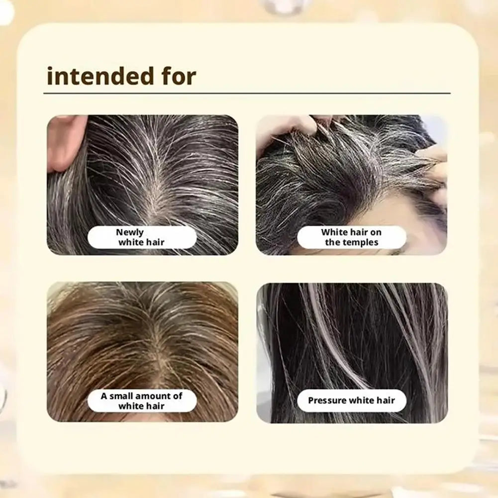 Plant-Based Hair Color Shampoo – Natural Dye & Grey Coverage Hair Dye Shampoo Oasis Select