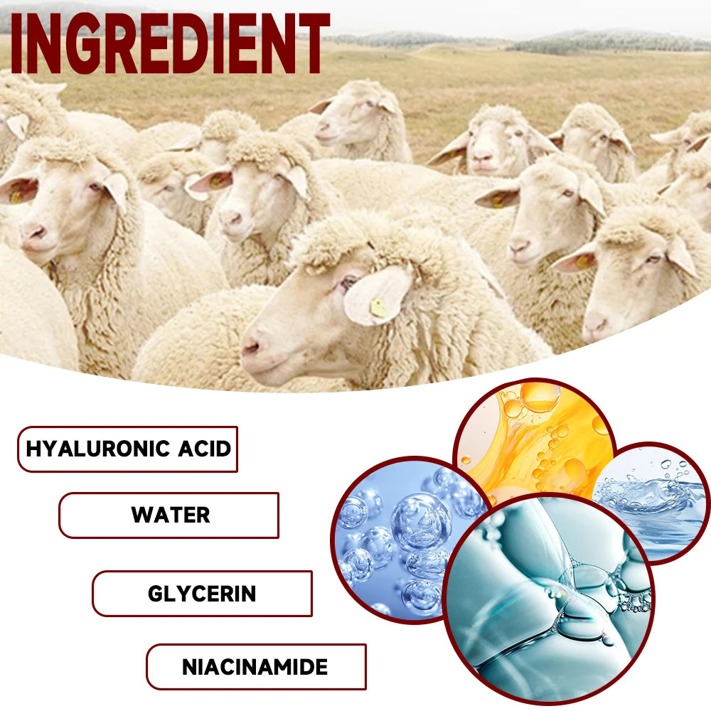 100% Pure Lanolin Cream for Dry & Itchy Skin, Cracked Lips, Breastfeeding, Baby Care, Moisture-Rich, Nursing Essentials & Petrol Oasis Select