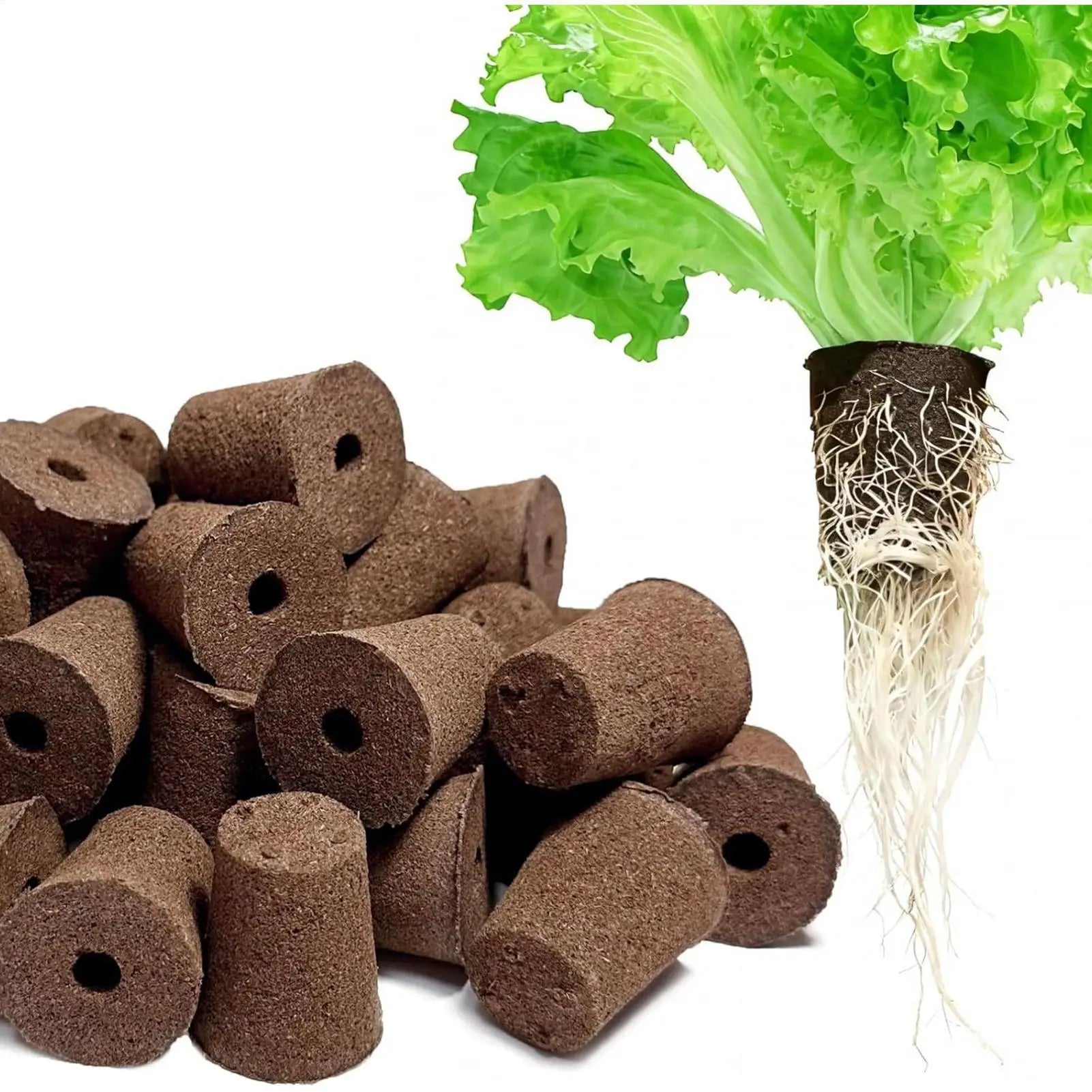 50Pcs Seed Grow Sponges Replacement Root Growth Sponges Seedling Starter Plugs Seed Starting Seed Hydroponic Garden Planting Oasis Select
