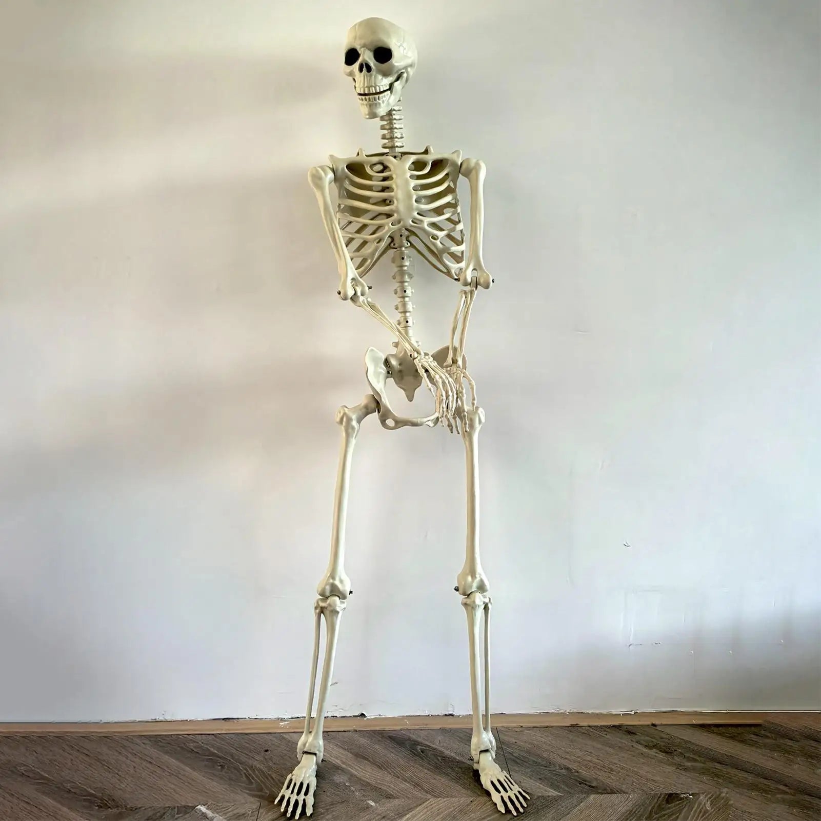 Halloween Skeleton Realistic Posable Skeleton with Movable Joints Halloween Decoration Prop Spooky Photo Props Party Supplies Oasis Select