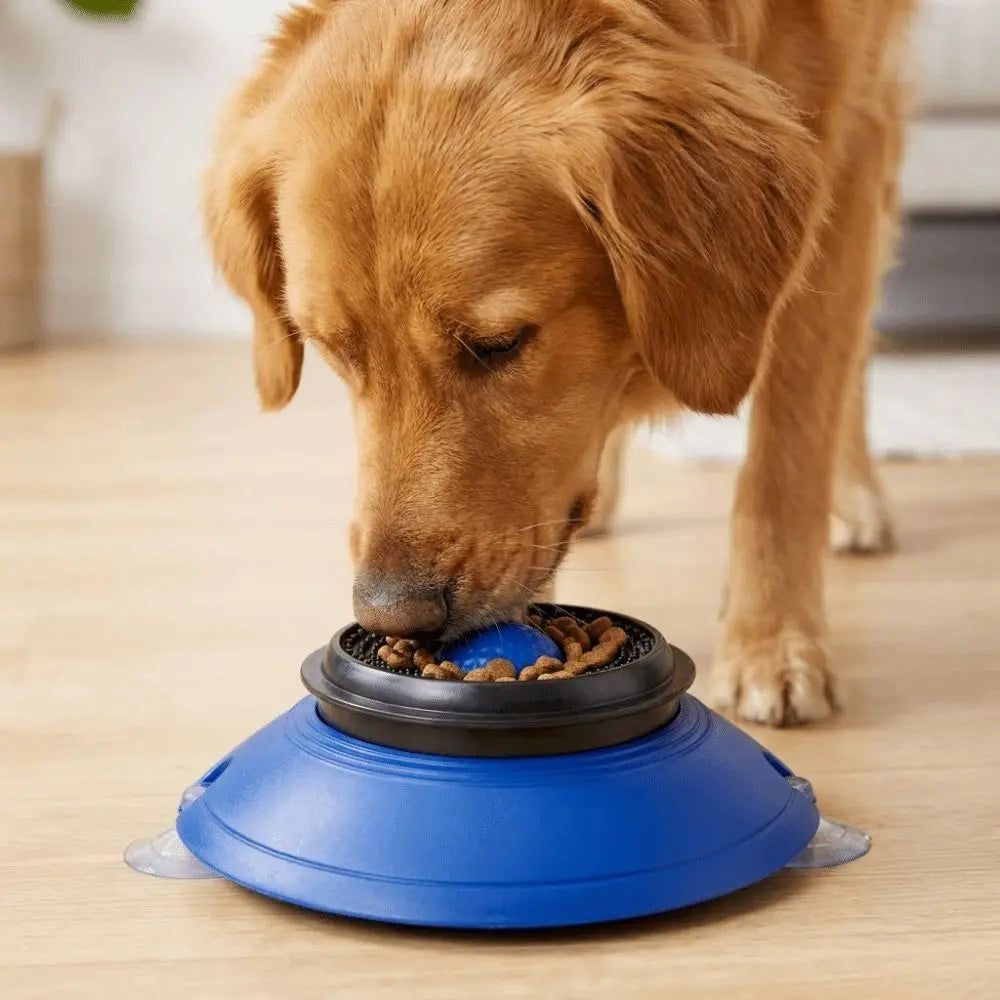 Anti-Choking Dog Licking Bowl Non-Slip Base Food-Grade Slow Feeder Dog Bowl with Rolling Ball Massage Dot Cat Treat Bowl Oasis Select