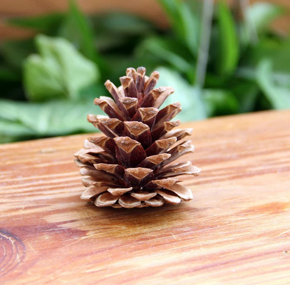 Pinecone Christmas Tree Ornaments 9-Pack | Rustic Wood Decor