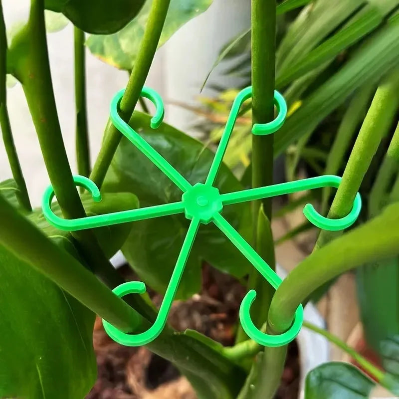 Flower Plant Stem Support Stakes Climbing Houseplant Stand Frame Plastic Garden No Stake Trellis Indoor Plant Holder Rack Hoops Oasis Select