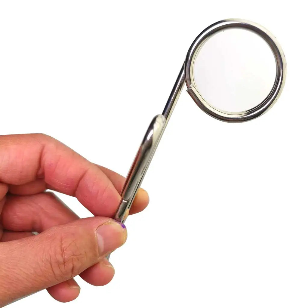 316 Stainless Steel Jon Line Clip for Scuba Diving Tech Diving Safety Jon Line Hook Oasis Select