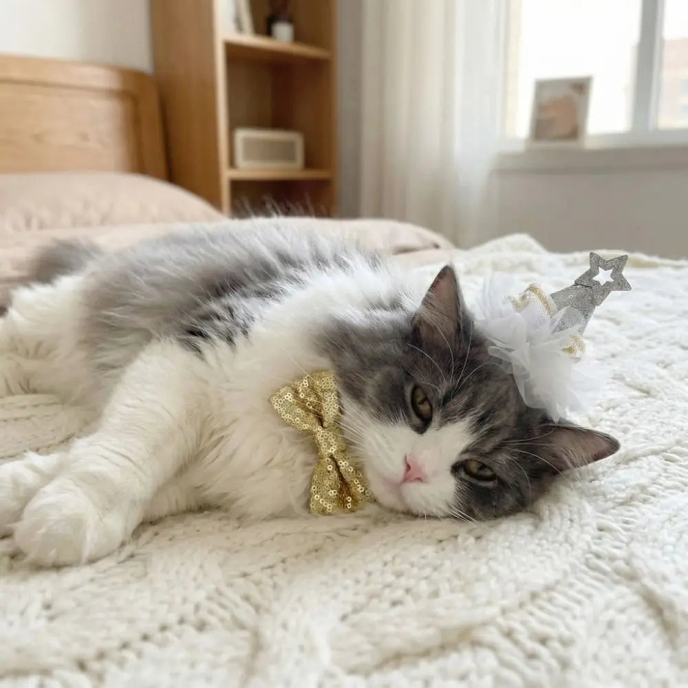 Adjustable Pet Birthday Party Hat – Sequin Princess Hat for Cats & Dogs
