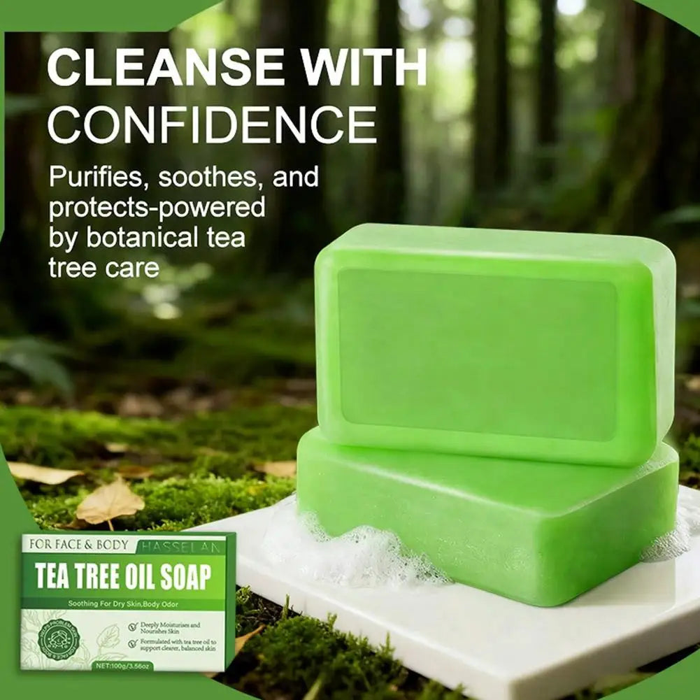 Tea Tree Soap for Face & Body Acne, 100g Tea Tree Oil Soap Bar for Face & Body Natural Skin Cleanser for Oily, Dry & Itchy Skin Oasis Select
