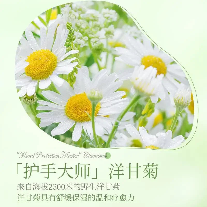 500g Vaseline Chamomile Hand Cream Moisturizing Anti cracking Non greasy Hand Care Moisturizing Cream Winter Oasis Select
