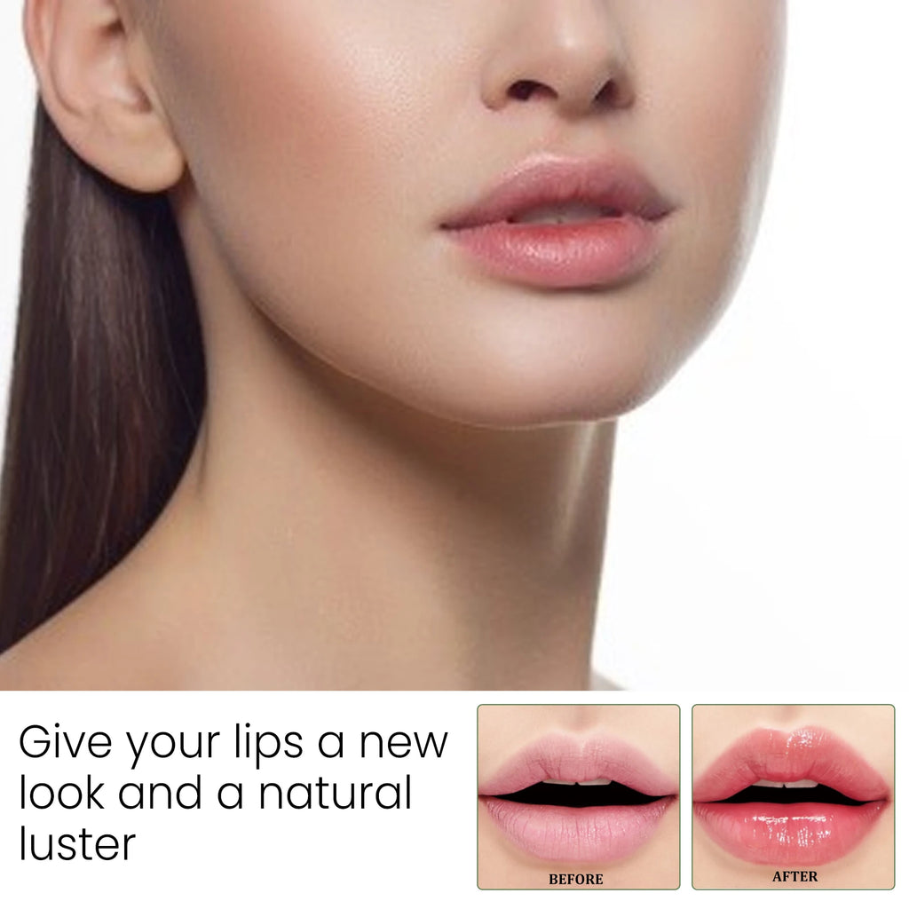 Aloe Lip Balm Fade Lip Lines Refreshing Hydrating Anti Cracking Repair Nourishing Lipstick Moisturizing Lips Balm Lip Care Oasis Select