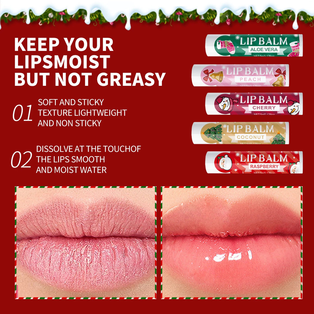 20PCS lipstick Set -5 Taste Christmas Theme Deep moisturizing and lasting moisturizing to create plump and shiny lips Oasis Select