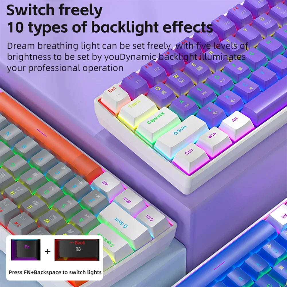 60% RGB Mechanical Gaming Keyboard – 61 Keys & 10 Light Modes