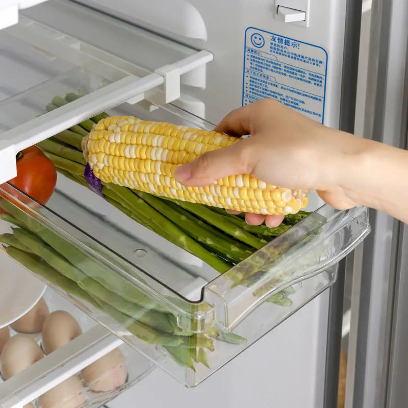 Clear Fridge Organizer Drawer – Slide-Under Shelf Storage Box Fridge Organizer Drawer Oasis Select