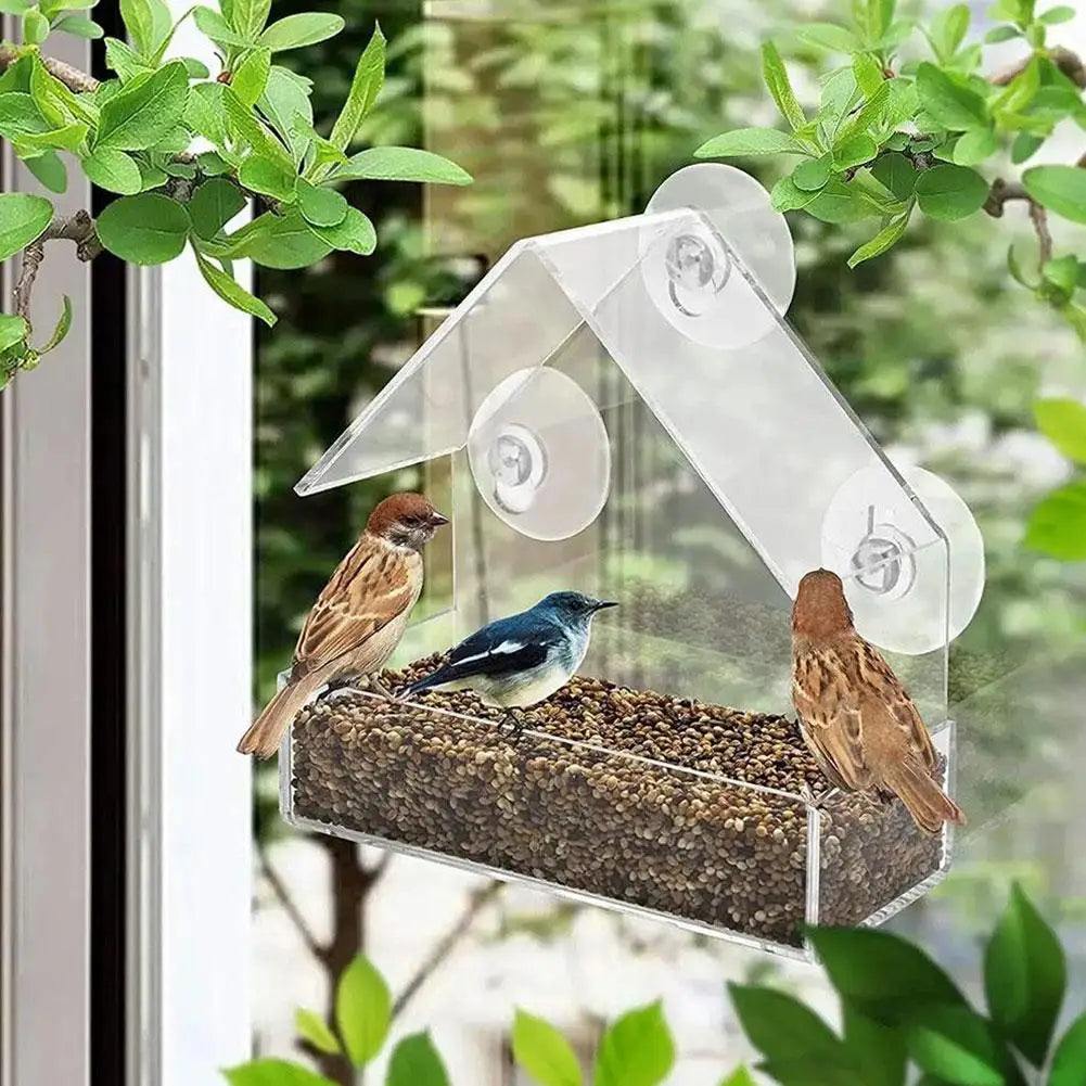 Acrylic Bird Feeder Clear Window Outside Hanging Bird Feeder House with Suction Cup for Garden Outdoor Backyard Wildlife Birding Oasis Select