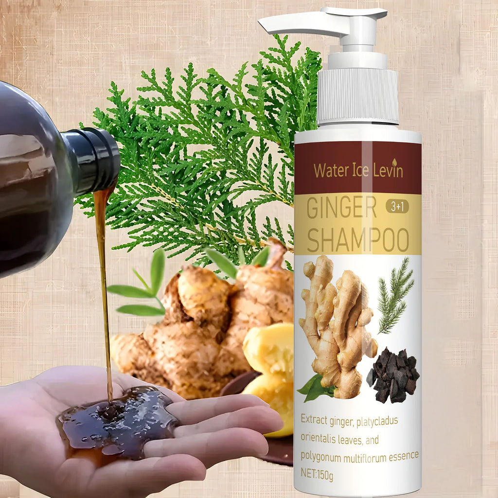 Ginger Regrowth Shampoo – Anti Hair Loss, Dandruff & Oil Control Hair Growth Shampoo Oasis Select