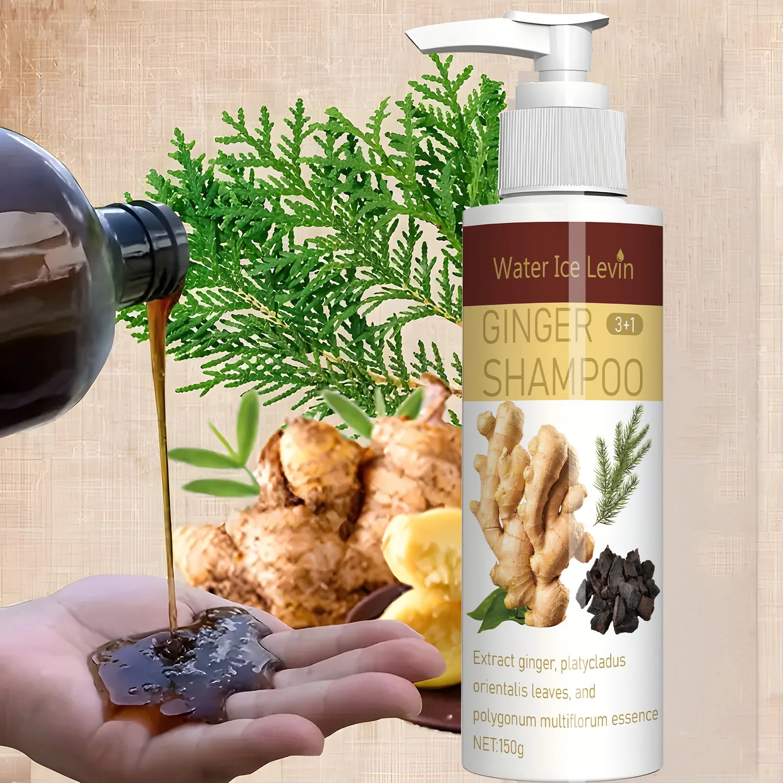 Ginger Regrowth Shampoo – Anti Hair Loss, Dandruff & Oil Control Hair Growth Shampoo Oasis Select
